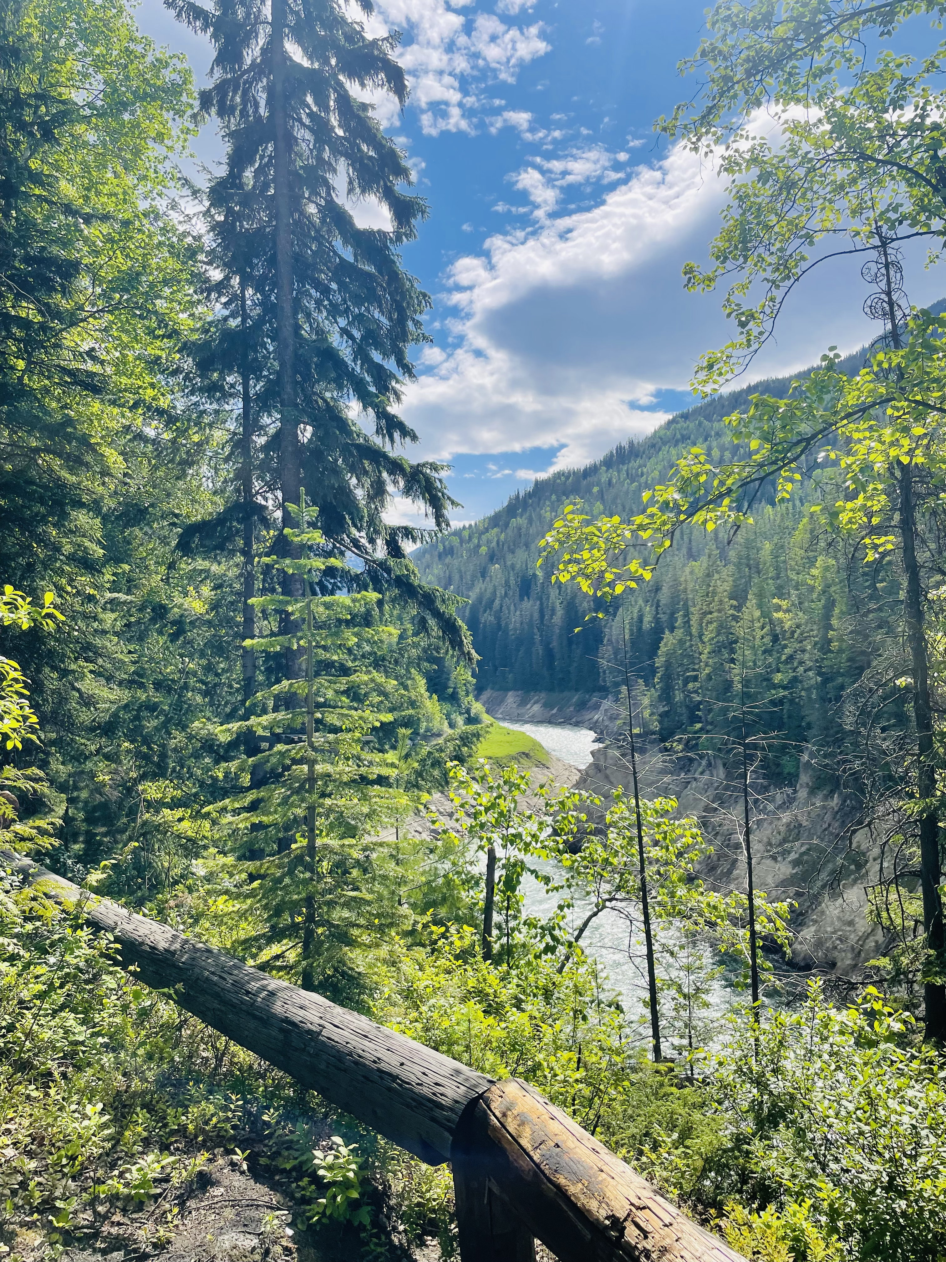 River Gorge image